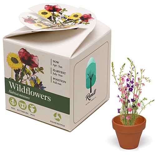 Mini Box Seed Kit Main Image