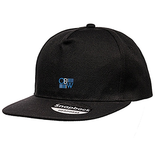 Snapback Cap - Embroidered Main Image