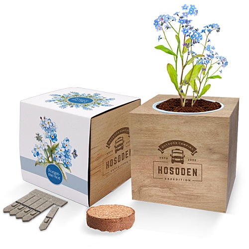 Essentials Desktop Cube Garden - 3 Day Main Image