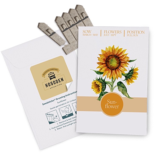 Essentials Seed Packet Envelopes Main Image