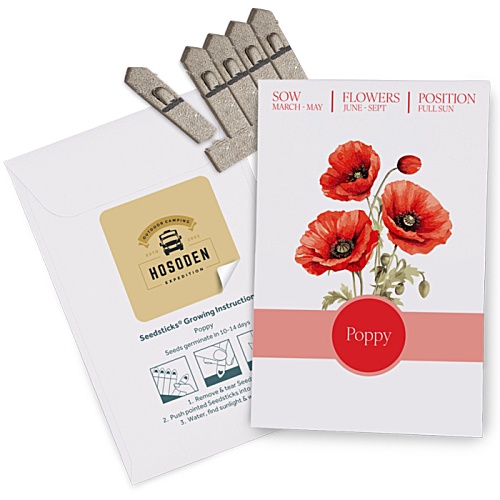 Essentials Seed Packet Envelopes - 3 Day Main Image