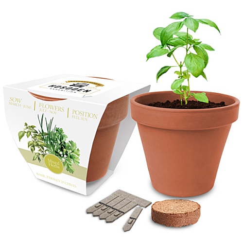 Essentials Clay Pot Garden Main Image