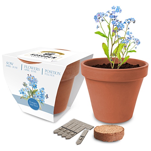 Essentials Clay Pot Garden - 3 Day Main Image
