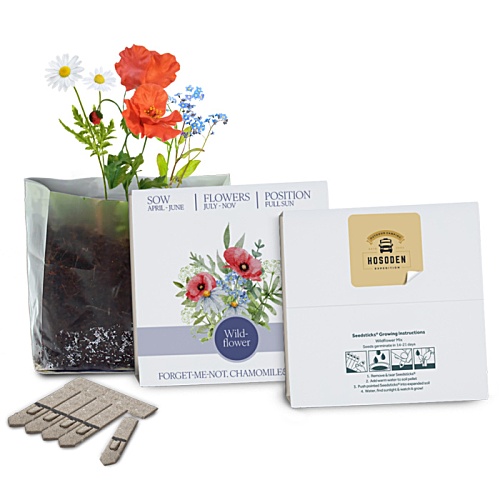 Essentials Letterbox Gardens Main Image