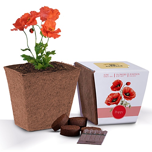 Essentials Bio Pot Garden - 3 Day Main Image