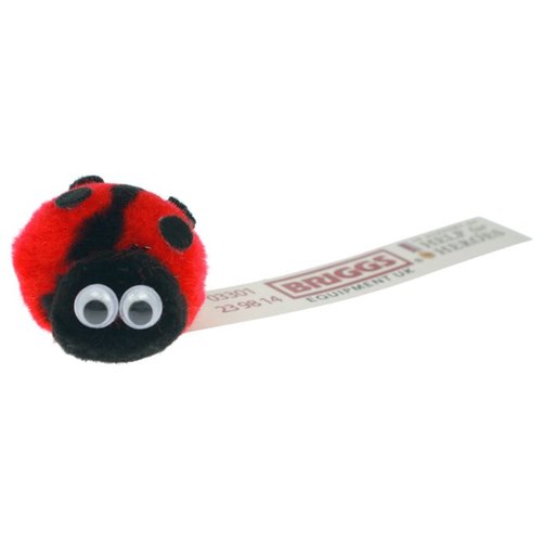 Animal Message Bugs - Ladybird Main Image