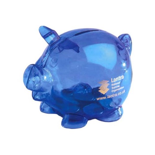 Printed Piggy Banks 12-14 wekk LT Main Image
