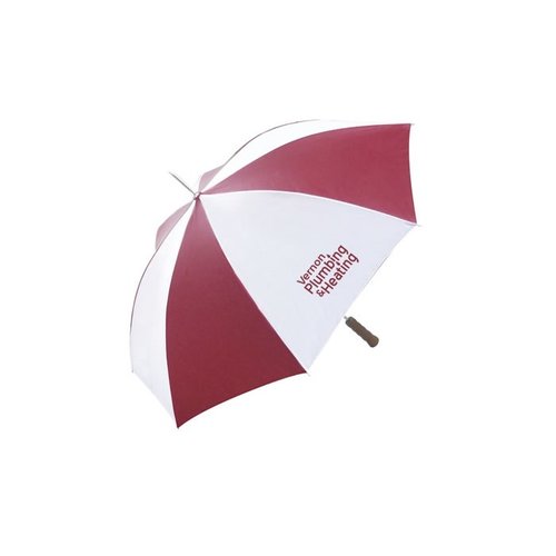 DISC Mini Automatic Golf Umbrella Main Image