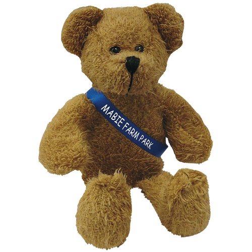 Scraggy Bear with Sash Main Image
