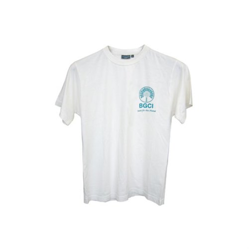 DISC Organic T Shirt made from Organic Cottons Main Image