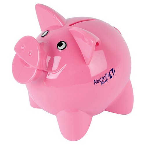 DISC Piggy Bank Main Image