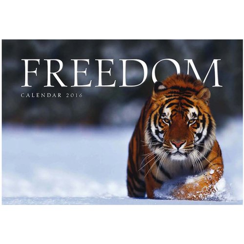 Wall Calendar - Freedom Main Image
