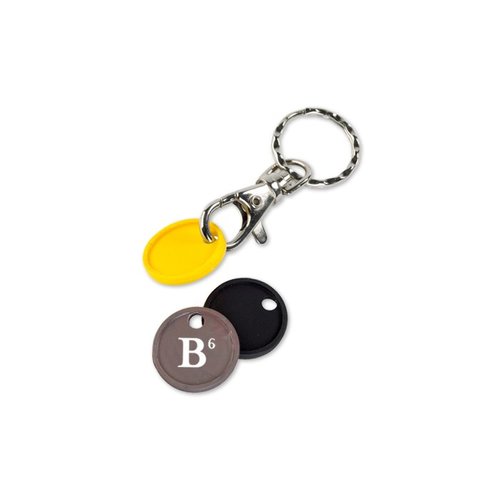 DISC Plastic Trolley Token Keyring Main Image