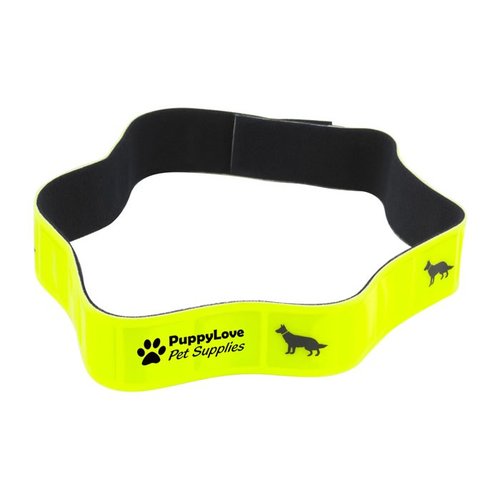 DISC Hi Vis Dogband Main Image
