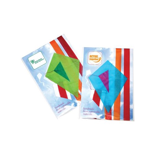 DISC Eco Kite Main Image