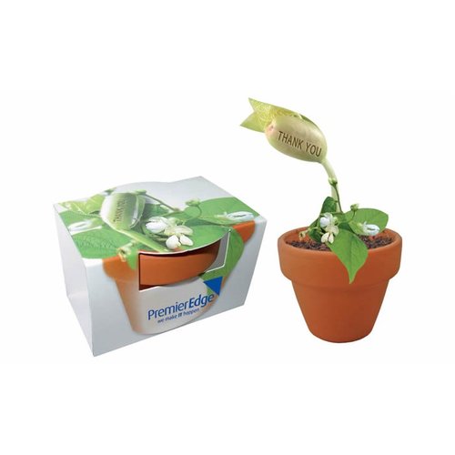 DISC Thank You Plant Pot Main Image