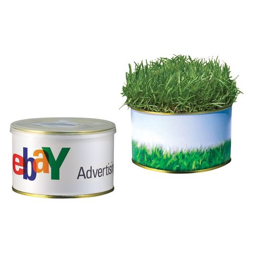 DISC Garden in a Tin - Large Main Image