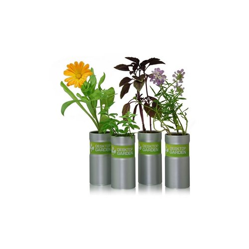 DISC Desktop Garden Main Image
