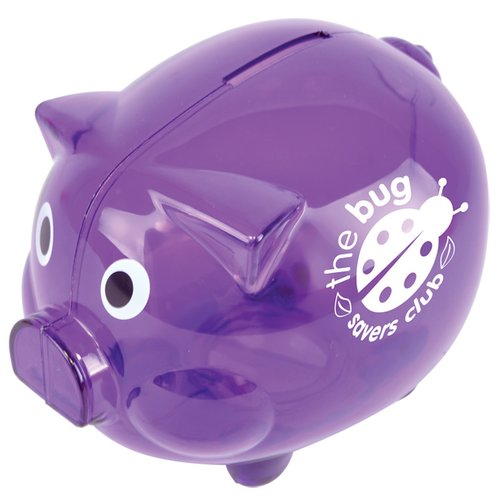 Budget Piggy Bank Main Image