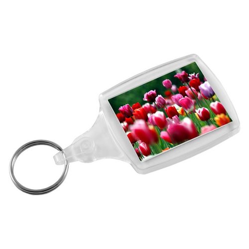 DISC Classic Keyring - Flat Clip - Full Colour Main Image