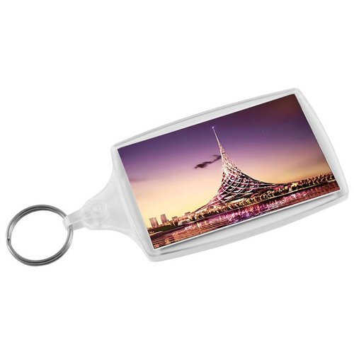DISC Goliath Keyring - Flat Clip - Full Colour Main Image