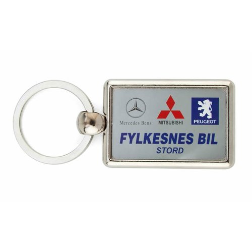 DISC Dakota Keyring - Full Colour Main Image