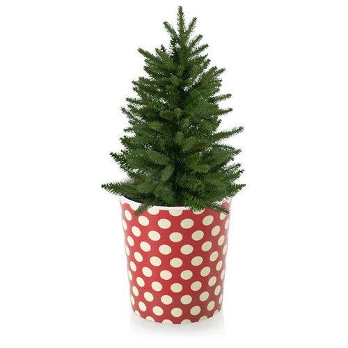 DISC Desktop Christmas Tree Main Image