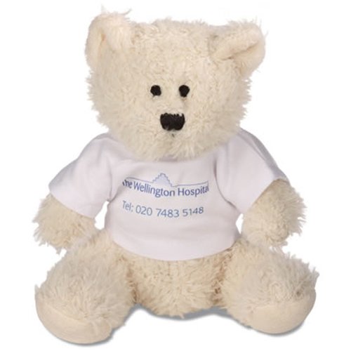 DISC Large Snowy Bear with T-Shirt Main Image