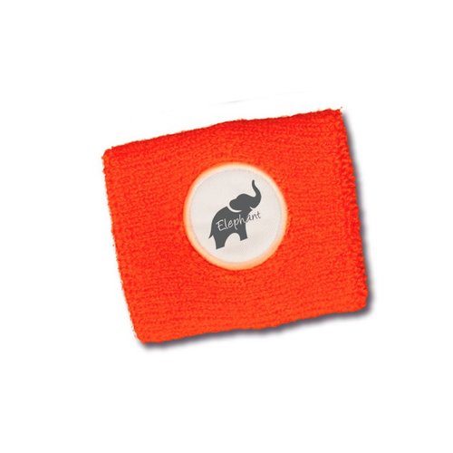 DISC Sweat Band Main Image