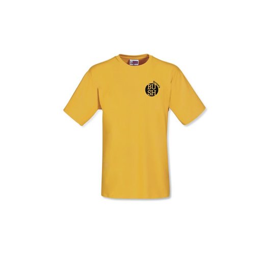 DISC 100% Cotton Promotional T-shirt - Coloured Main Image