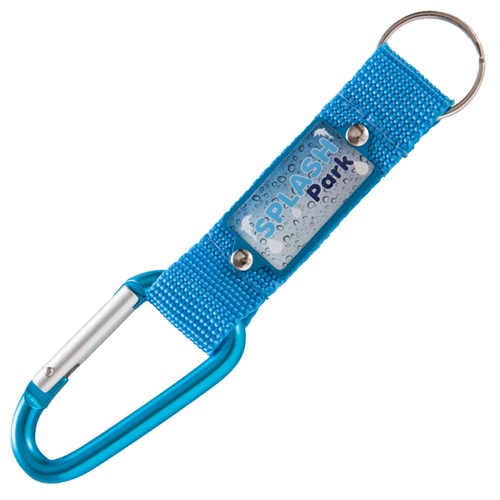 DISC Carabiner Keyring with Strap Main Image