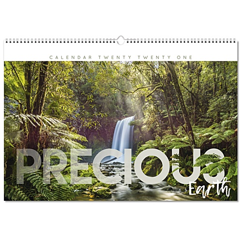 DISC Wall Calendar - Precious Earth Main Image