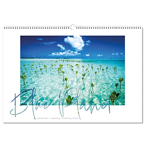 SUSP Wall Calendar - Blue Planet Main Image