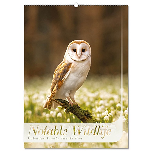 SUSP Wall Calendar - Notable Wildlife Main Image