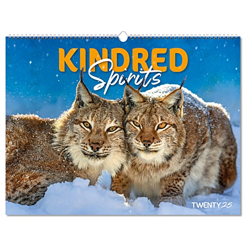 SUSP Wall Calendar - Kindered Spirits Main Image