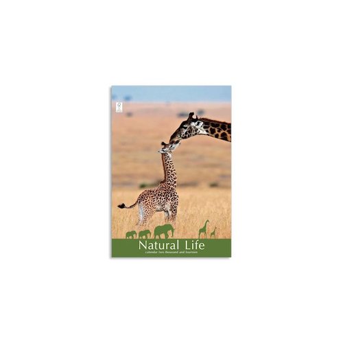 DISC Wall Calendar - Natural Life Main Image