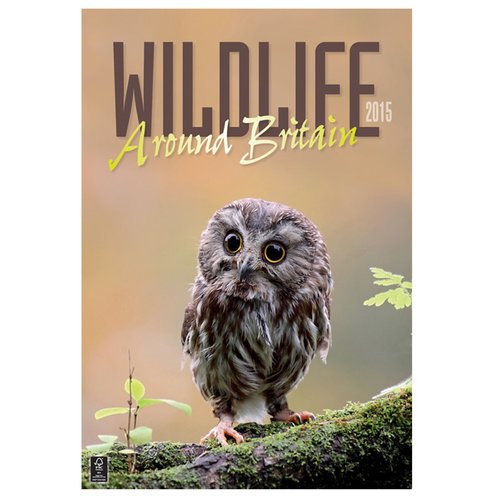 DISC Wall Calendar - Wildlife around Britain Main Image