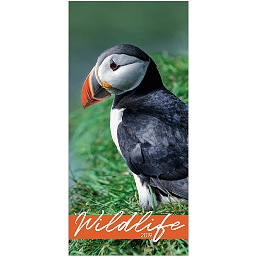 Wall Calendar - Wildlife Main Image