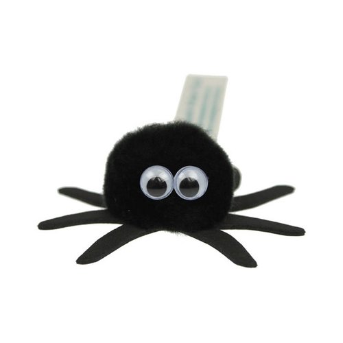Animal Message Bugs - Spider Main Image