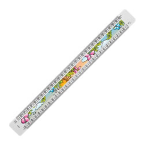30cm Architect's Ruler - Digital Print Main Image