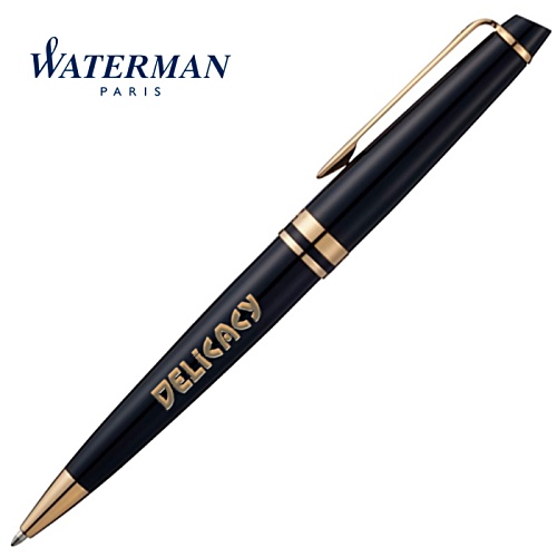 Waterman Expert Pen Main Image