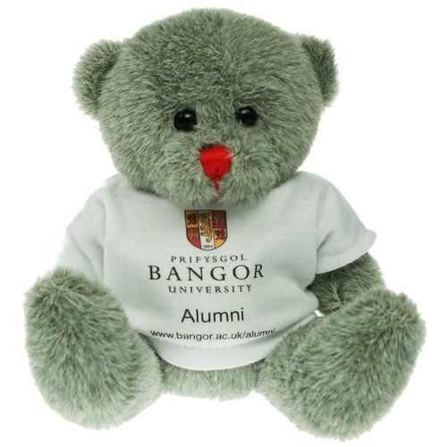 Nosey Bear with T-Shirt Main Image
