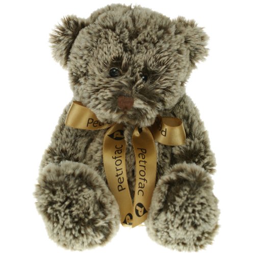 Cocoa Bear with Bow Main Image