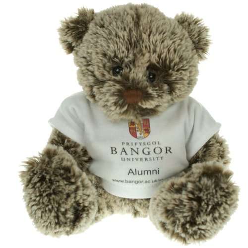 Cocoa Bear with T-Shirt Main Image