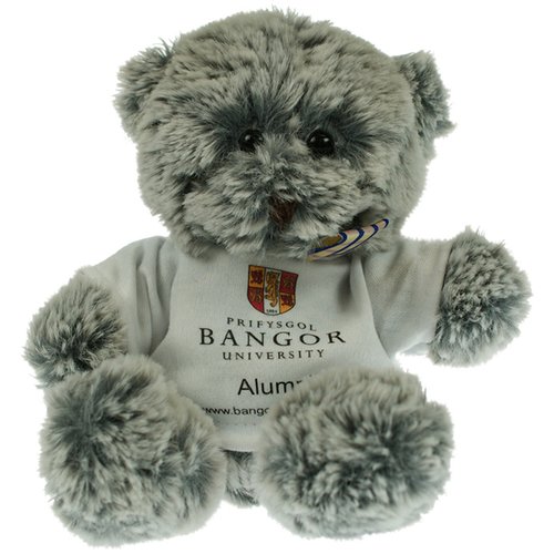 Mullbury Bear with T-Shirt Main Image