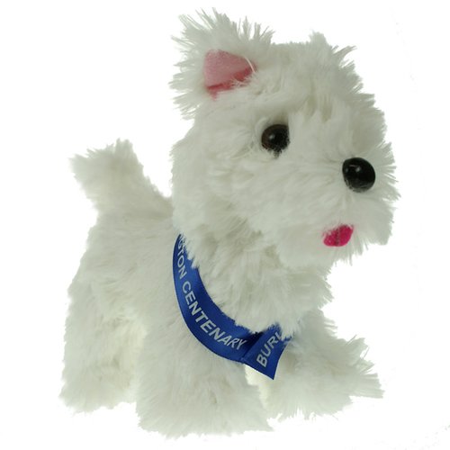 Terrier Dog with Sash Main Image