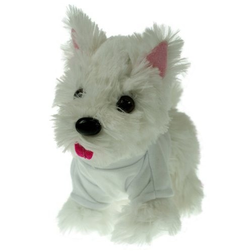 Terrier Dog with T-Shirt Main Image