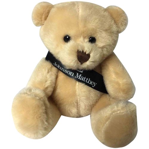 Scout Bears - Loyal Bear with Sash Main Image