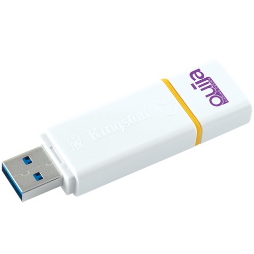 8gb Kingston Loop Flashdrive Main Image