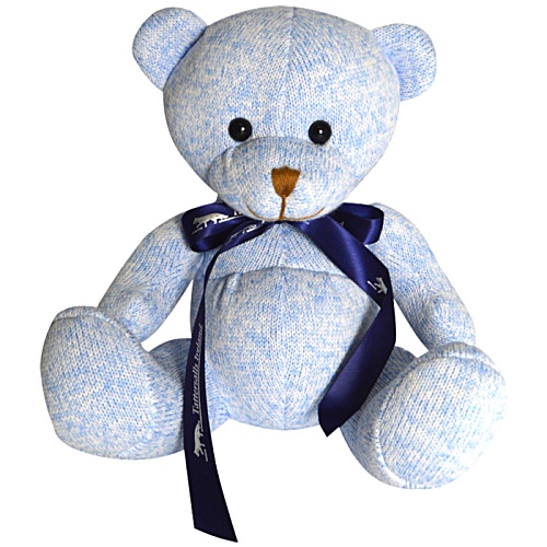DISC Newcroft Bear - Sky Blue with Bow Main Image
